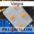 Vaigra 24